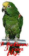 Green Bird